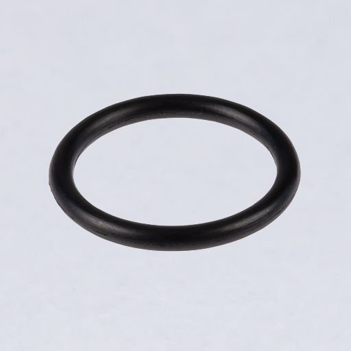 O-Ringe